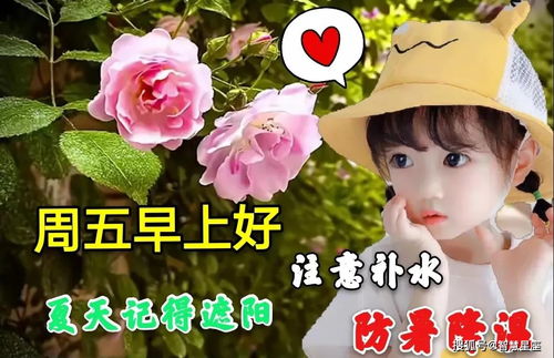 周五早安問候 文化交流活動策劃的溫馨起點